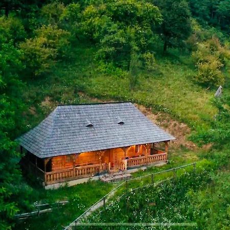 Casuta Bunicilor Villa Вишеу де Жос Екстериор снимка
