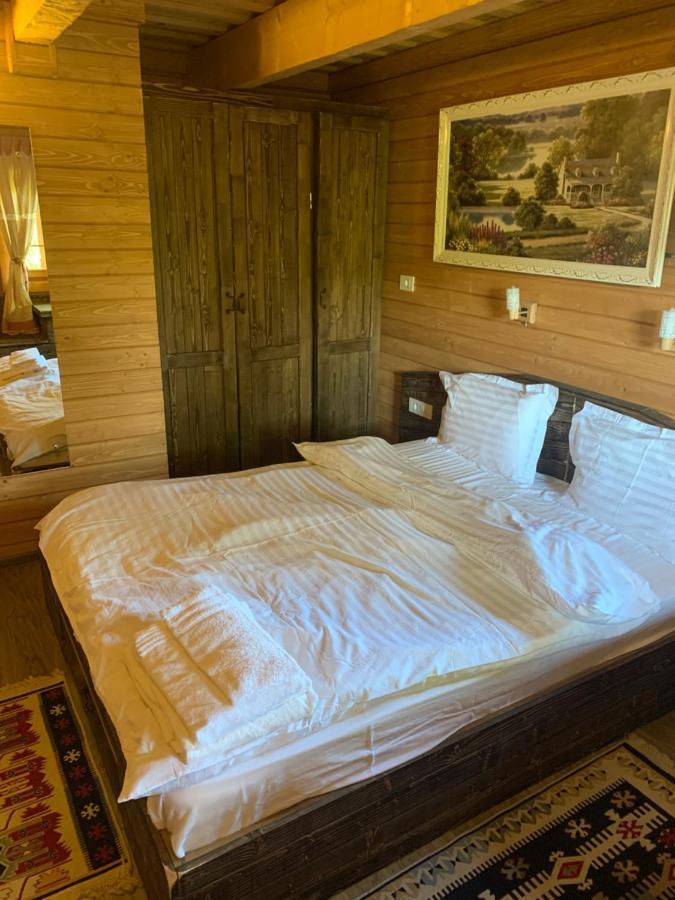Casuta Bunicilor Villa Вишеу де Жос Екстериор снимка