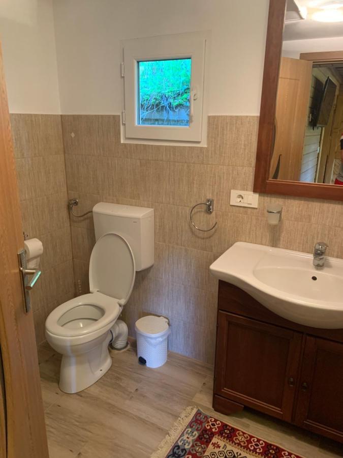 Casuta Bunicilor Villa Вишеу де Жос Екстериор снимка